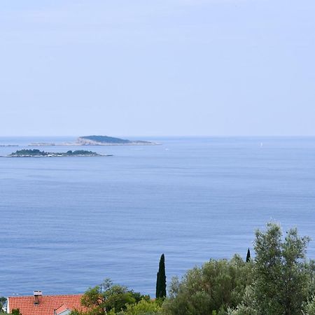 Apartment Eli - Sea View Mlini Kültér fotó
